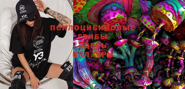 мяу мяу мука Аркадак
