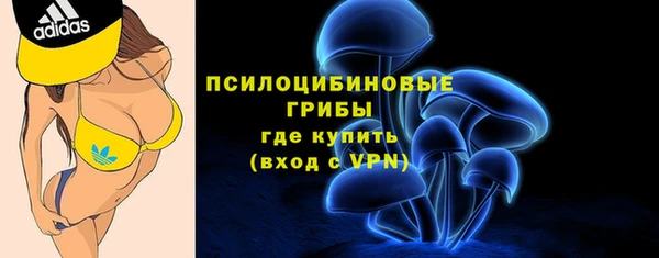 спайс Баксан