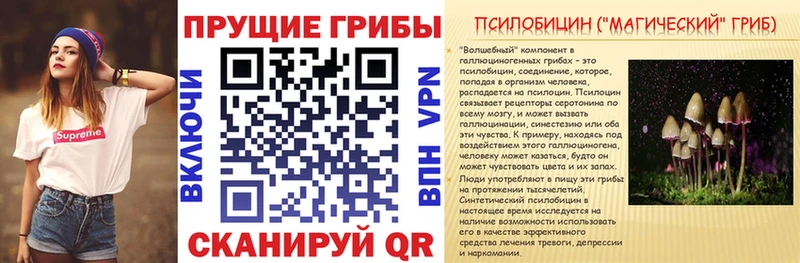 Галлюциногенные грибы Psilocybine cubensis  Вуктыл 